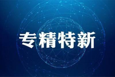 熱烈祝賀我公司被認定為山東省“專精特新”中小企業
